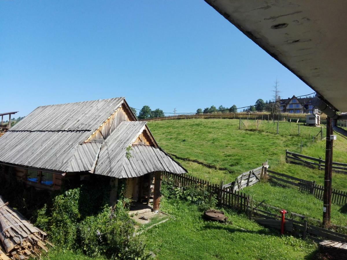 Pokoje Goscinne U Elzbiety Ciche Male Exterior photo